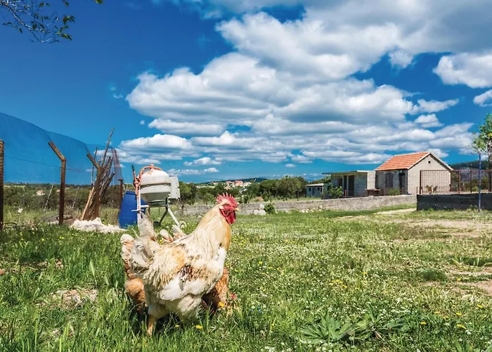 Six-Bedroom Holiday Home In Donje Rastane Дом отдыха